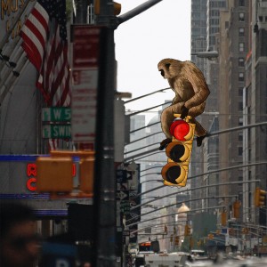dessins-dans-des-photos-de-New-York-de-Eliska-Podzimkova-4