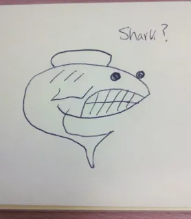 comment-dessiner-un-requin-dessin-de-requin-5
