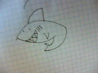 comment-dessiner-un-requin-dessin-de-requin-7
