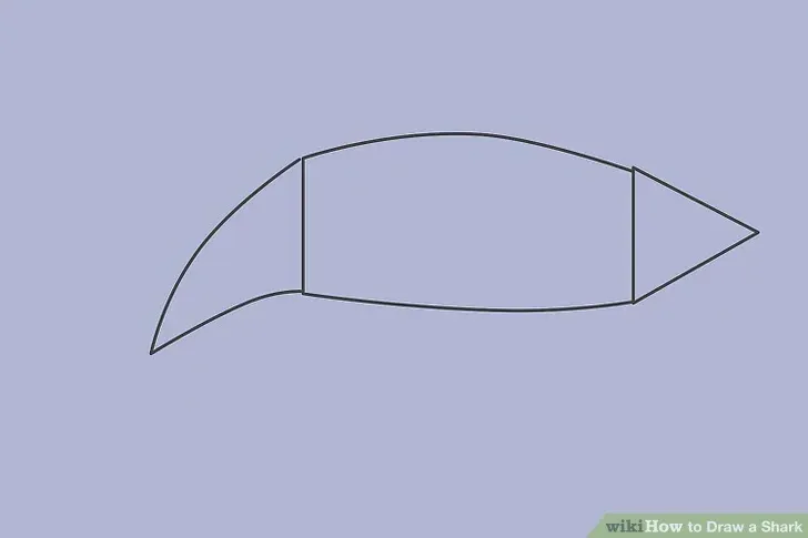 comment-dessiner-un-requin-tutoriel-2-1