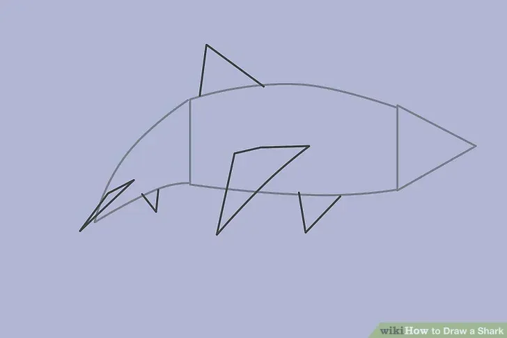 comment-dessiner-un-requin-tutoriel-2-2