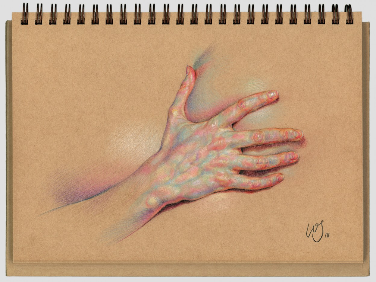 Les-dessins-anatomiques-colores-de-WanJim-Gim-3