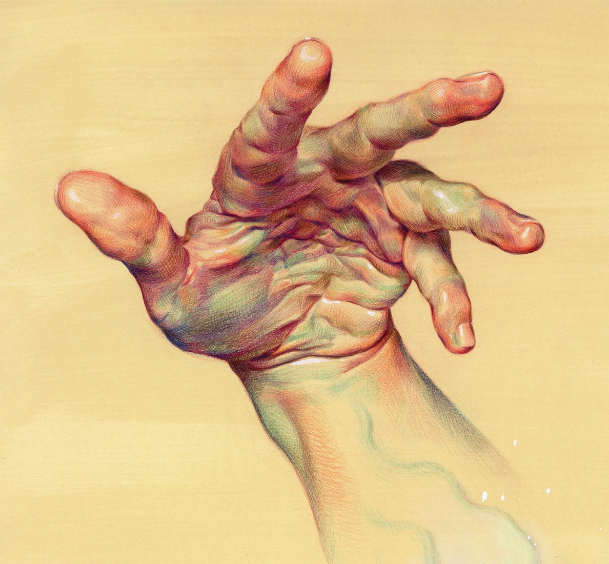 Les-dessins-anatomiques-colores-de-WanJim-Gim-7
