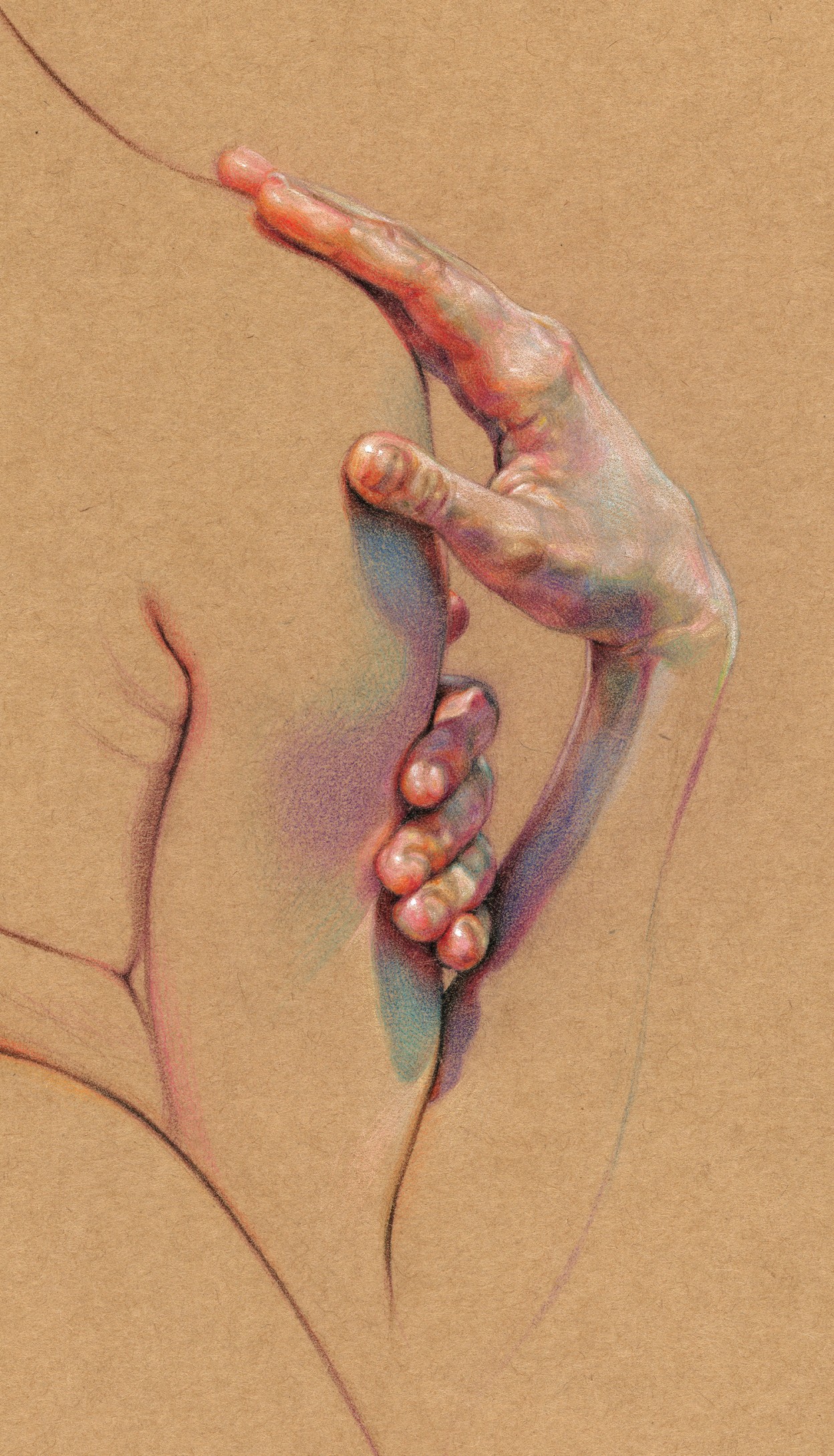 Les-dessins-anatomiques-colores-de-WanJim-Gim-8