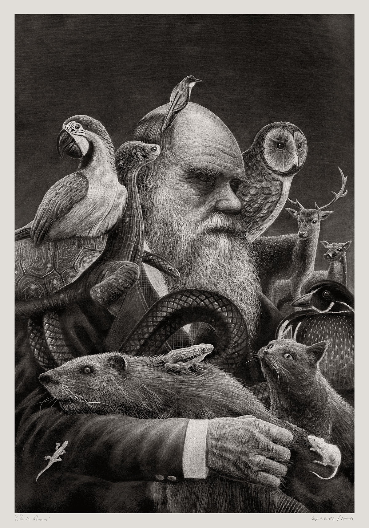 Des-dessins-au-crayon-retravailles-sous-photoshop-par-Borge-Bredenbekk-7