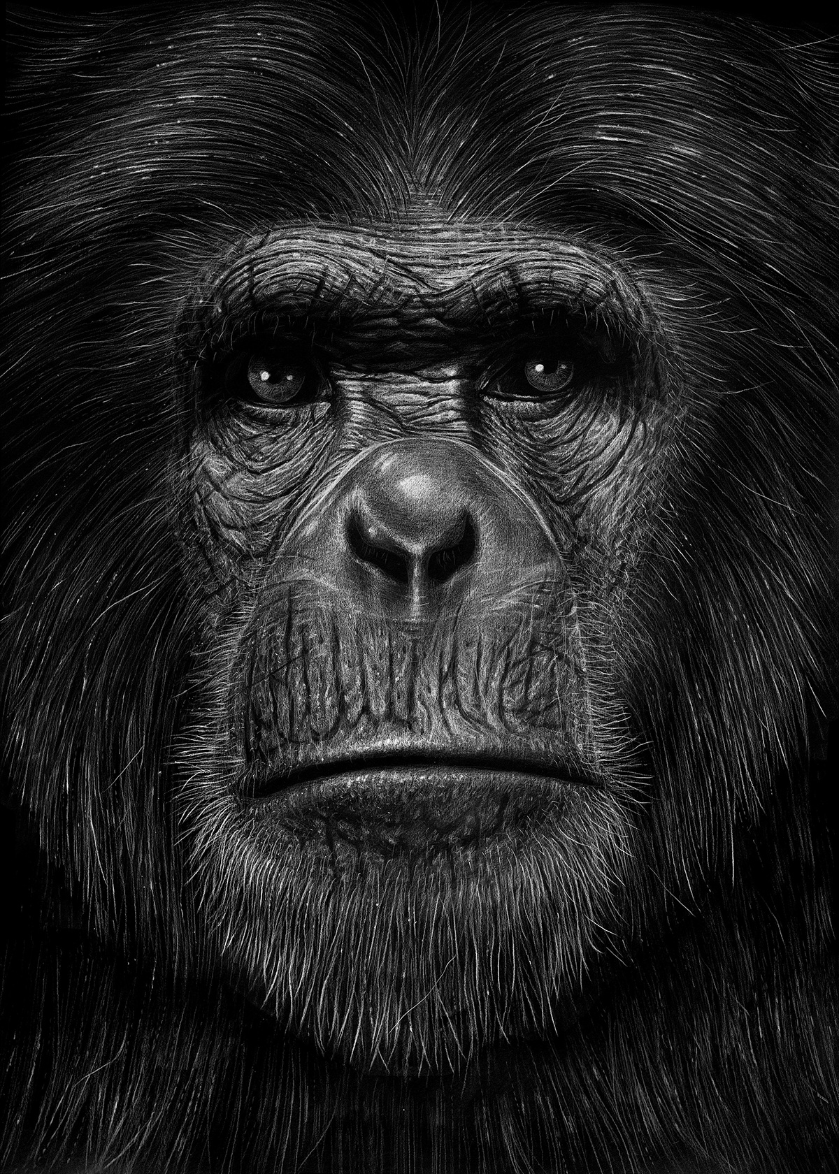 Des-dessins-au-crayon-retravailles-sous-photoshop-par-Borge-Bredenbekk-8