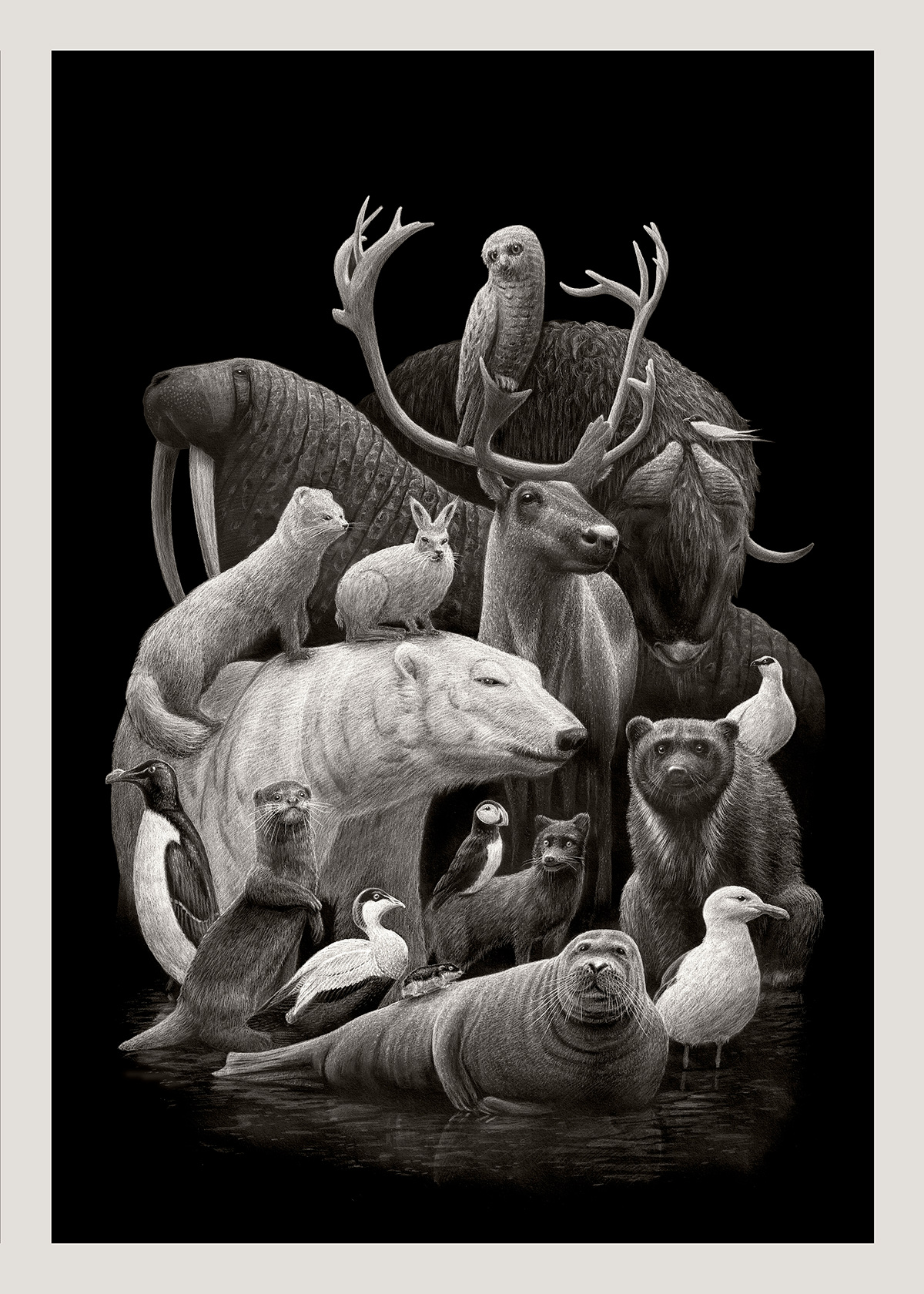 Des-dessins-au-crayon-retravailles-sous-photoshop-par-Borge-Bredenbekk-9