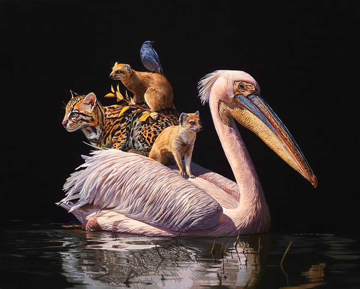 Les-groupements-d-animaux-de-Lisa-Ericson-5