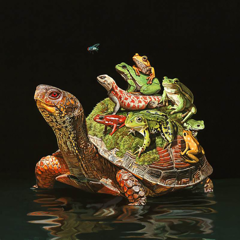 Les-groupements-d-animaux-de-Lisa-Ericson-6