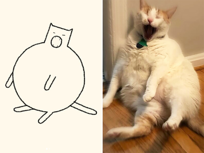 des-dessins-minimalistes-de-chats-par-DailyPurrr-10