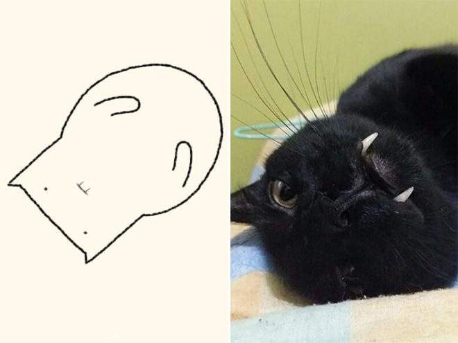 des-dessins-minimalistes-de-chats-par-DailyPurrr-12