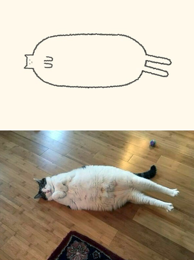 des-dessins-minimalistes-de-chats-par-DailyPurrr-13