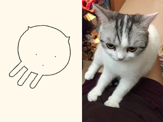 des-dessins-minimalistes-de-chats-par-DailyPurrr-14