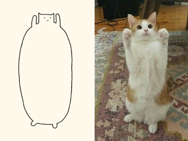des-dessins-minimalistes-de-chats-par-DailyPurrr-15