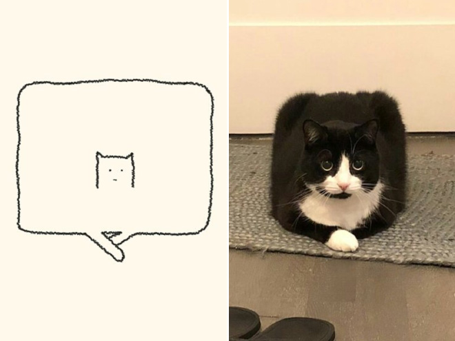 des-dessins-minimalistes-de-chats-par-DailyPurrr-16