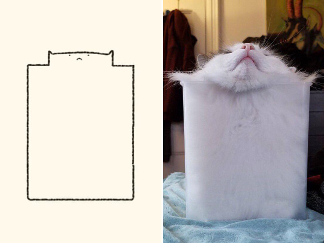 des-dessins-minimalistes-de-chats-par-DailyPurrr-18