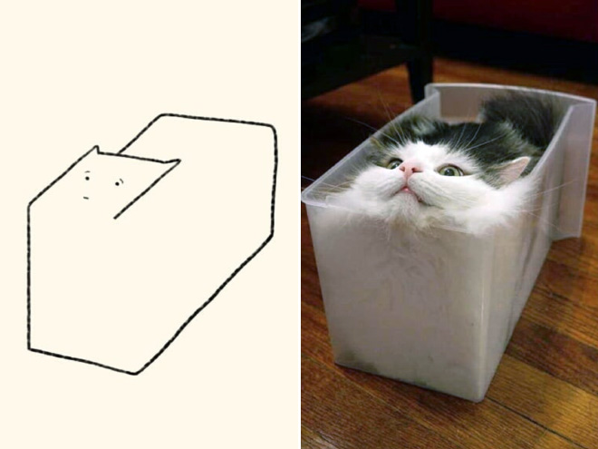 des-dessins-minimalistes-de-chats-par-DailyPurrr-2