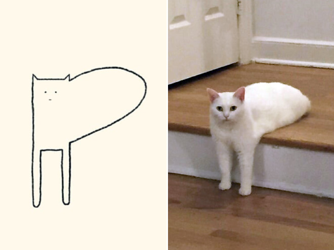 des-dessins-minimalistes-de-chats-par-DailyPurrr-3