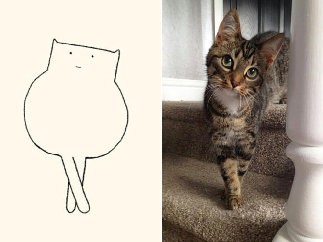 des-dessins-minimalistes-de-chats-par-DailyPurrr-4