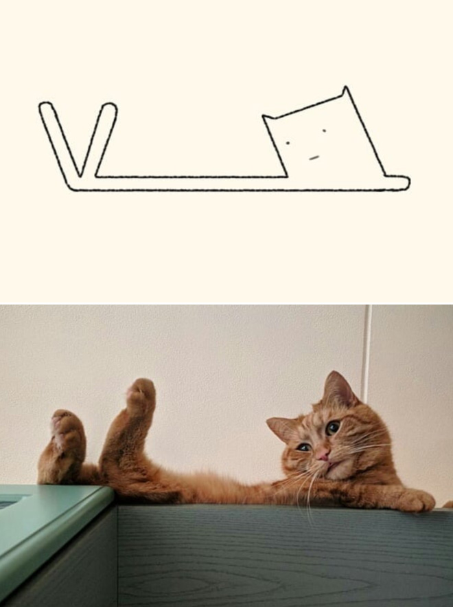 des-dessins-minimalistes-de-chats-par-DailyPurrr-6