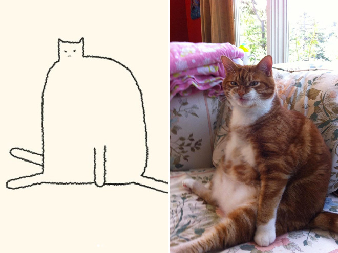 des-dessins-minimalistes-de-chats-par-DailyPurrr-8