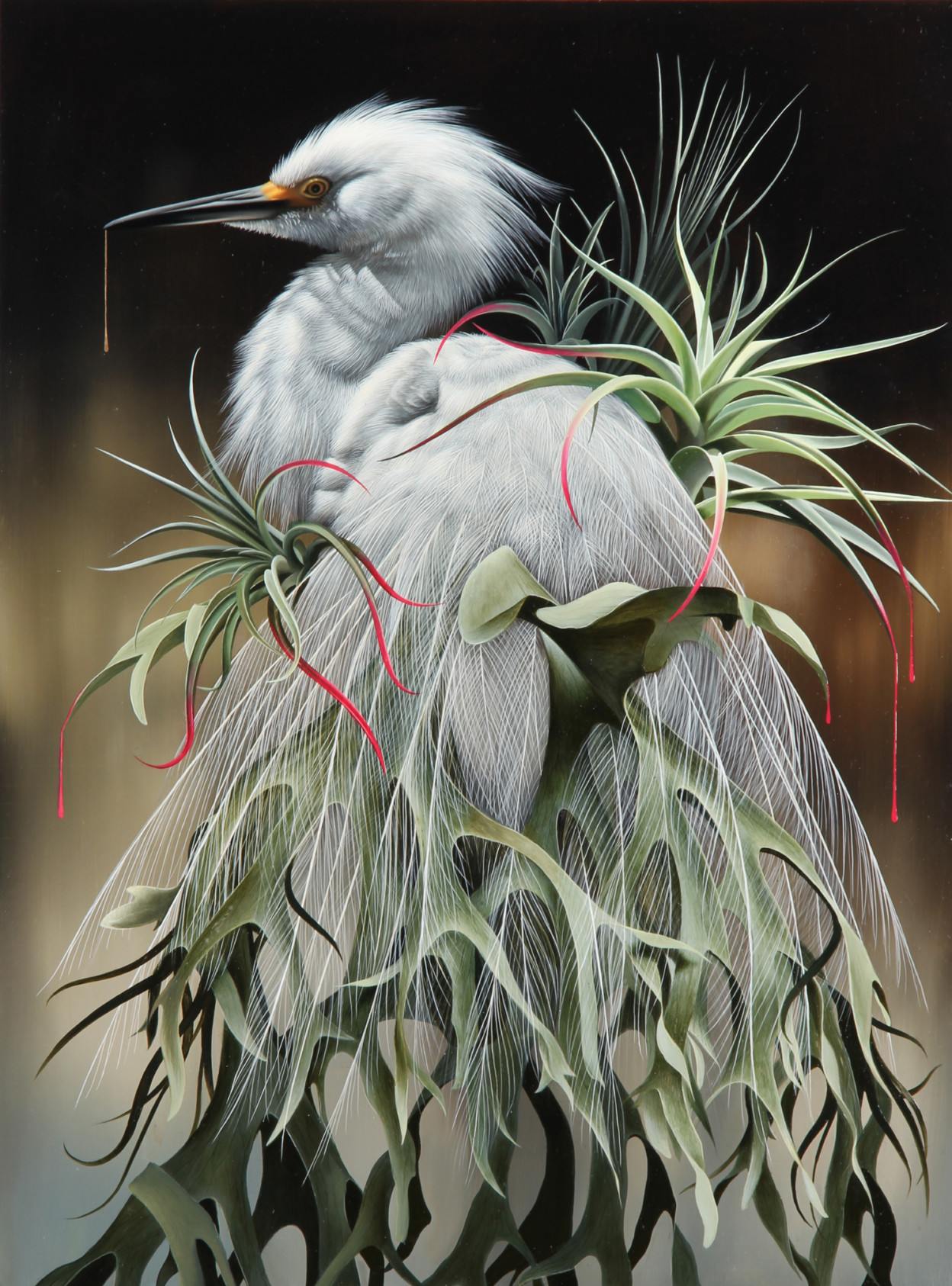 les-portraits-d-oiseaux-et-autres-animaux-de-Josie-Morway-1