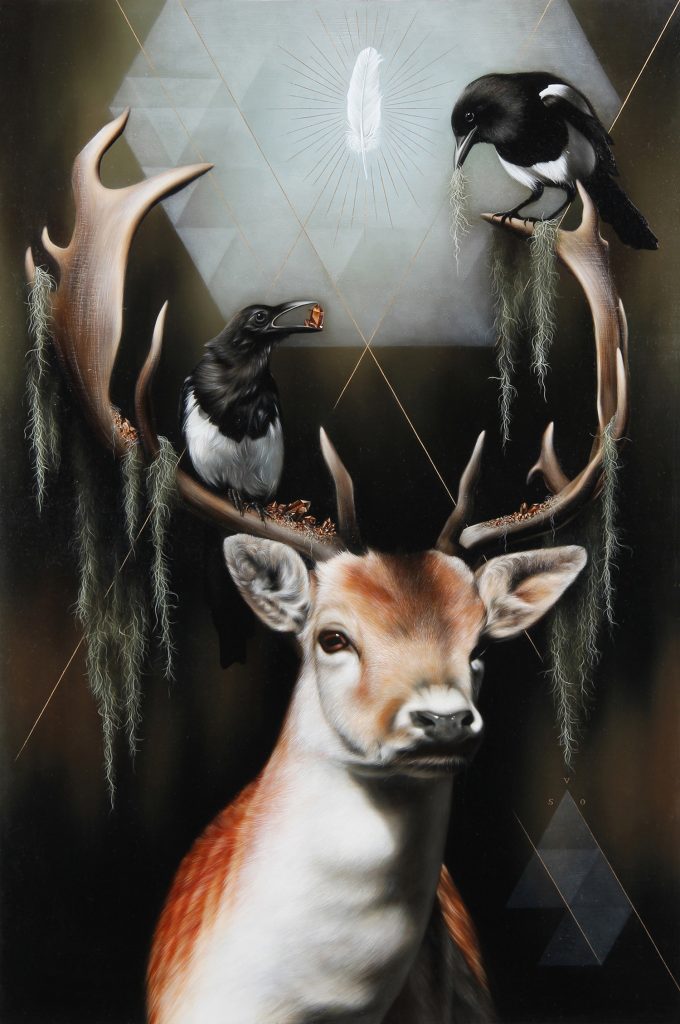 les-portraits-d-oiseaux-et-autres-animaux-de-Josie-Morway-13