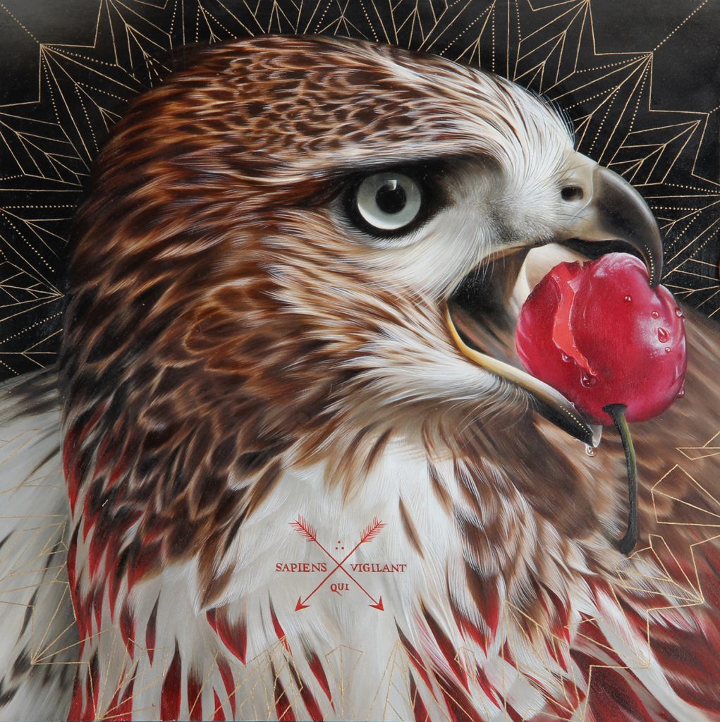 les-portraits-d-oiseaux-et-autres-animaux-de-Josie-Morway-14