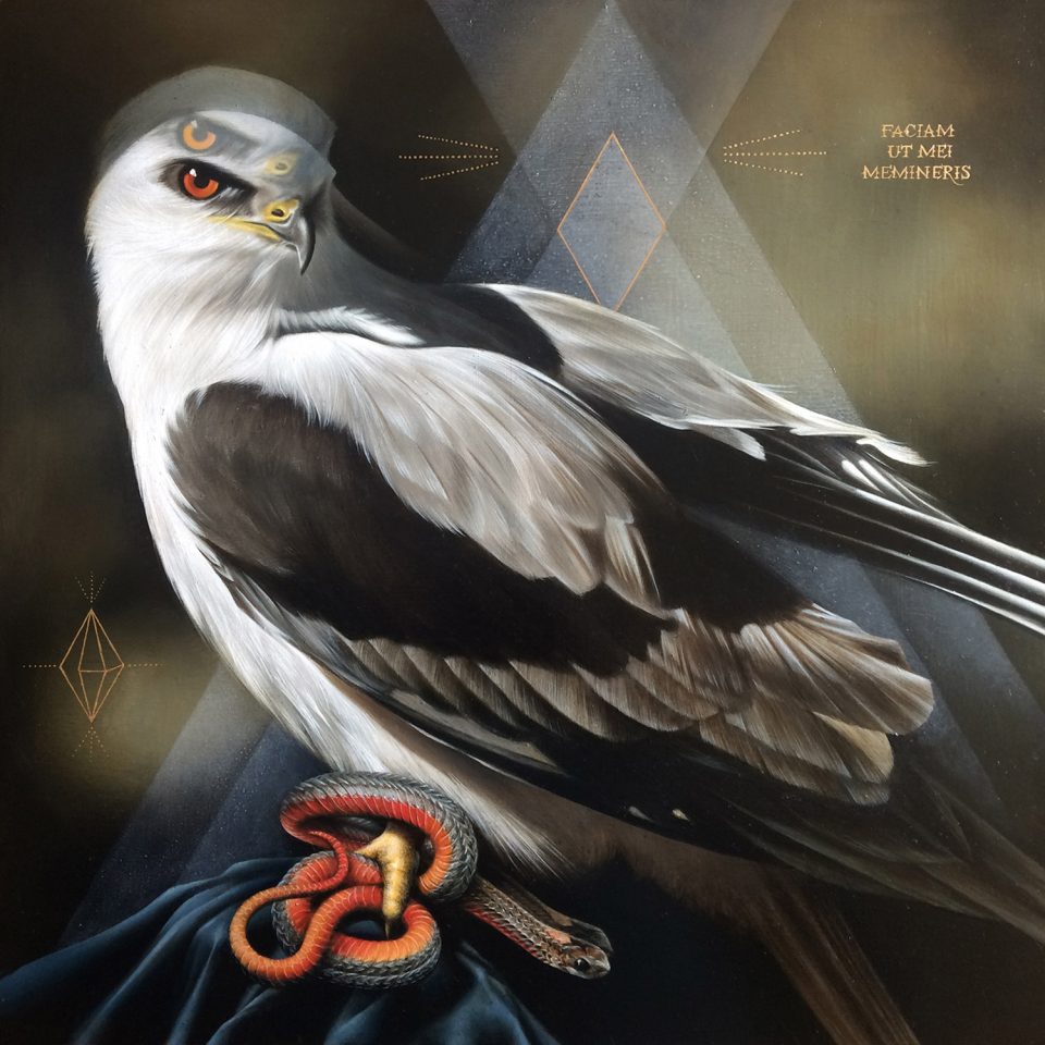 les-portraits-d-oiseaux-et-autres-animaux-de-Josie-Morway-16