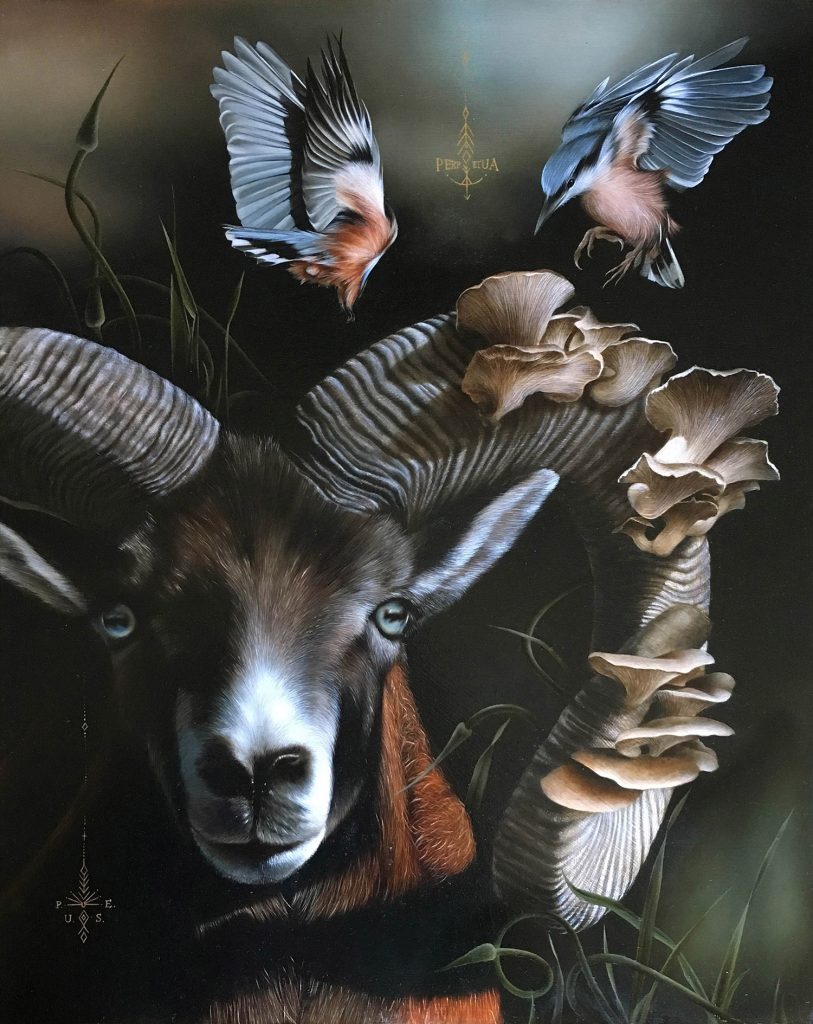 les-portraits-d-oiseaux-et-autres-animaux-de-Josie-Morway-17