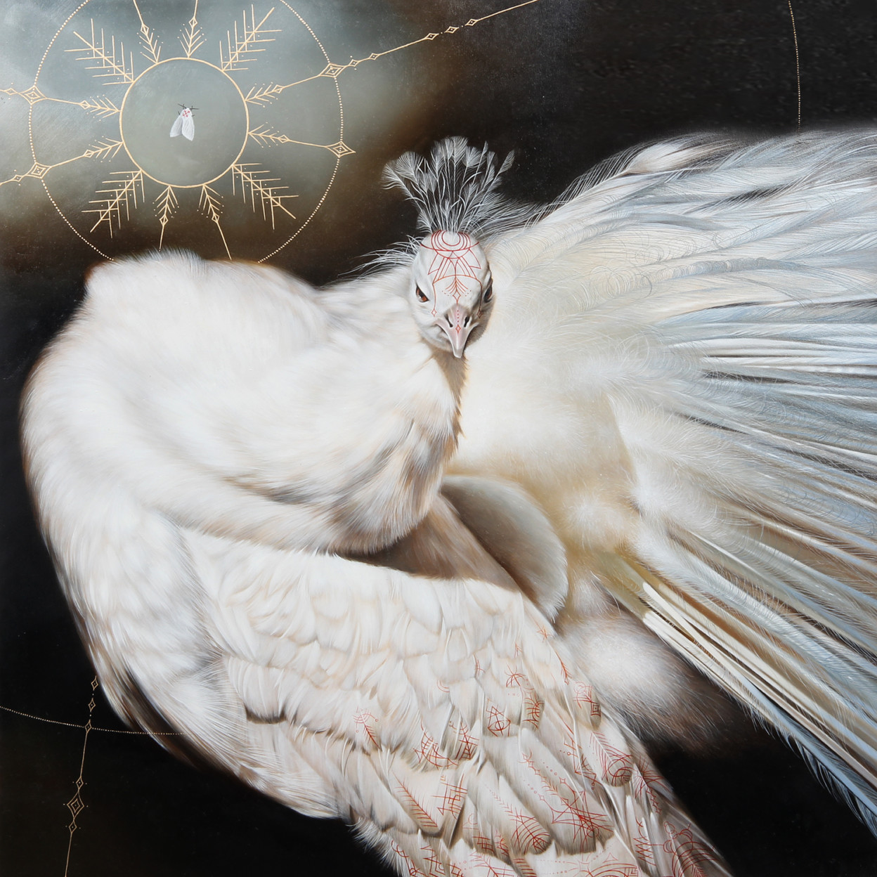 les-portraits-d-oiseaux-et-autres-animaux-de-Josie-Morway-6