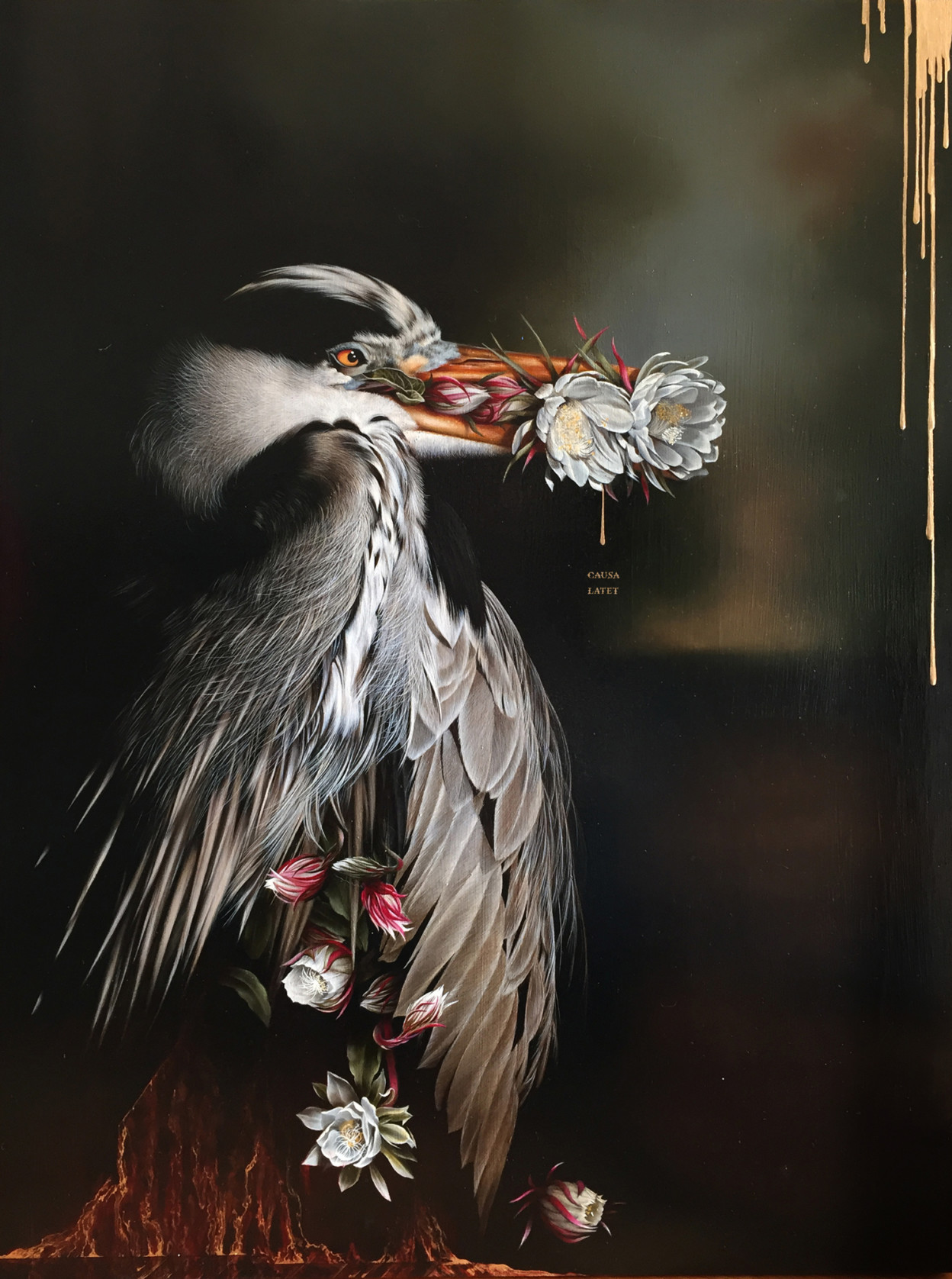 les-portraits-d-oiseaux-et-autres-animaux-de-Josie-Morway-7