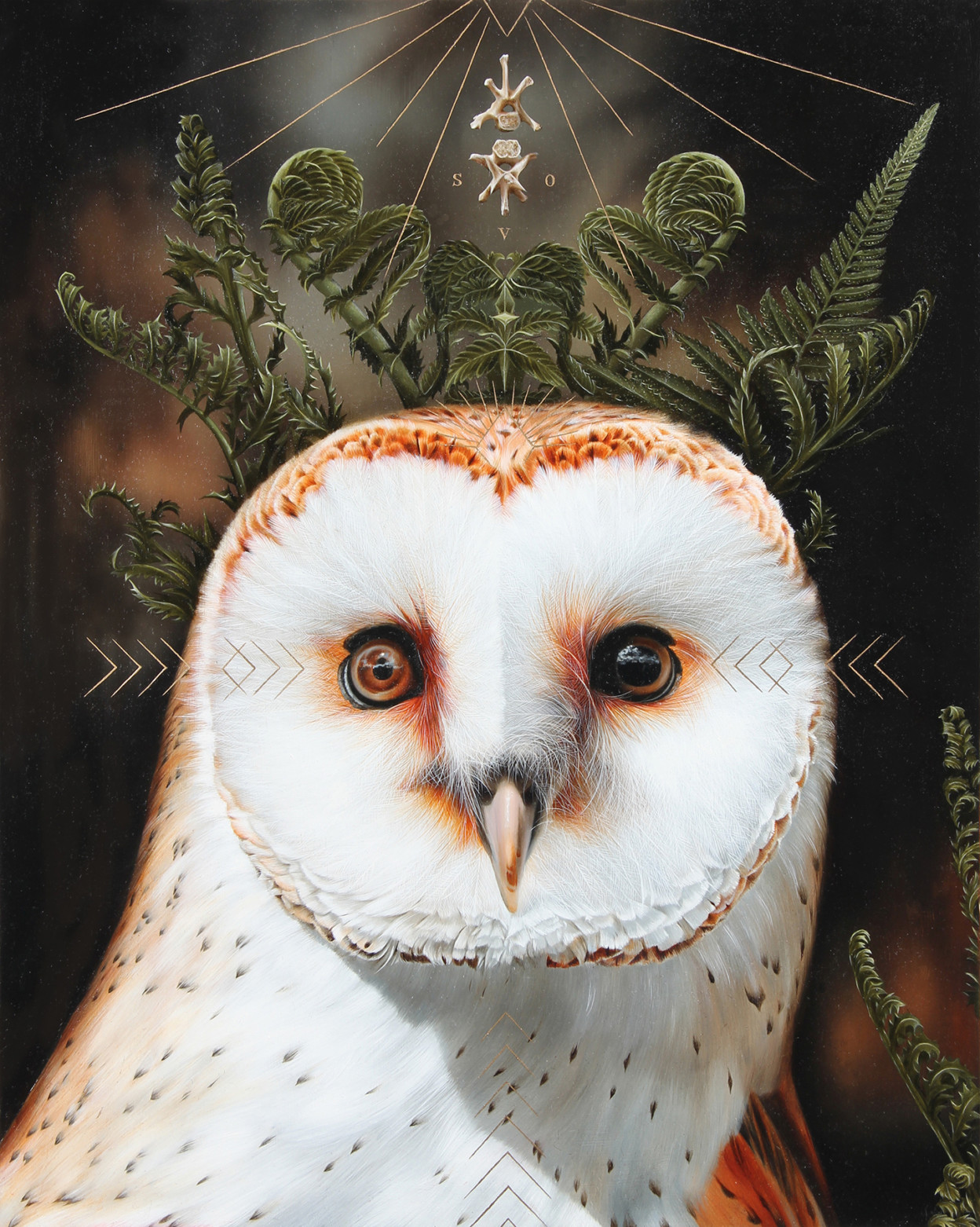 les-portraits-d-oiseaux-et-autres-animaux-de-Josie-Morway-8