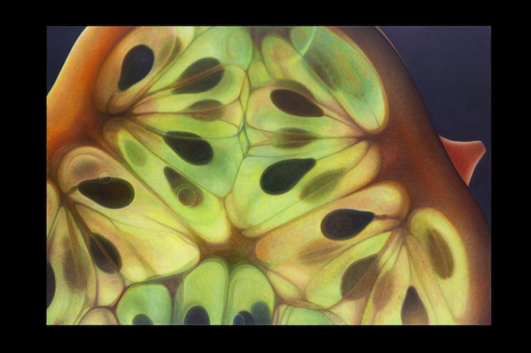 Les-peintures-de-fruits-a-croquer-de-Dennis-Wojtkiewicz-11
