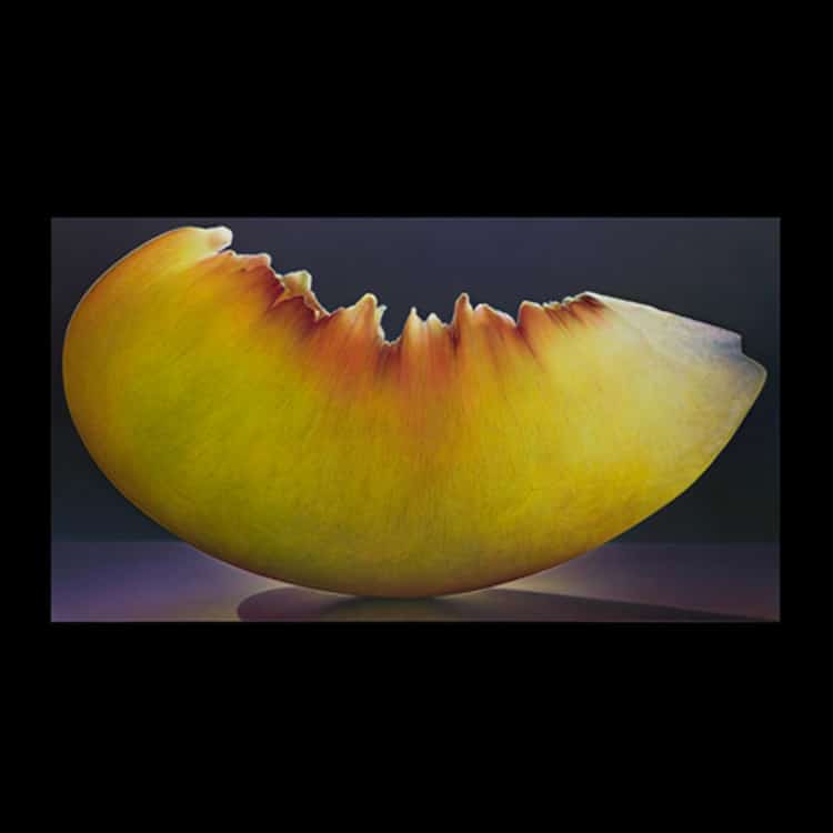 Les-peintures-de-fruits-a-croquer-de-Dennis-Wojtkiewicz-14