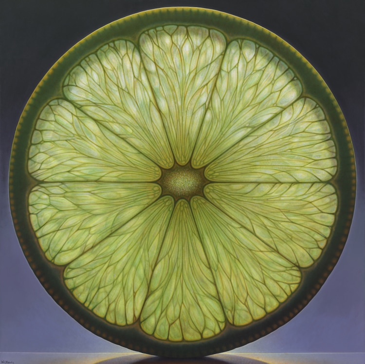 Les-peintures-de-fruits-a-croquer-de-Dennis-Wojtkiewicz-8
