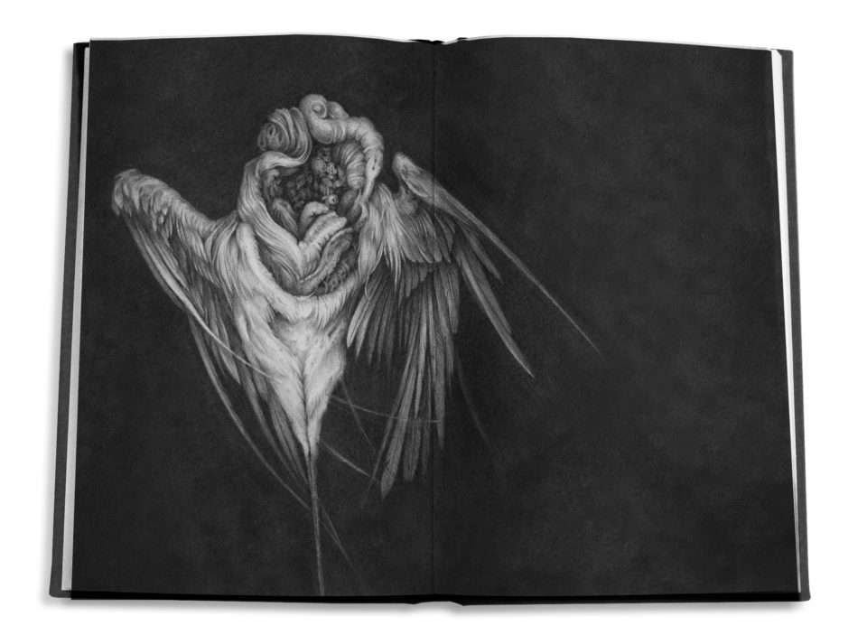 Haunted-Bodies-les-corps-hantes-de-Christina-Mrozik-8