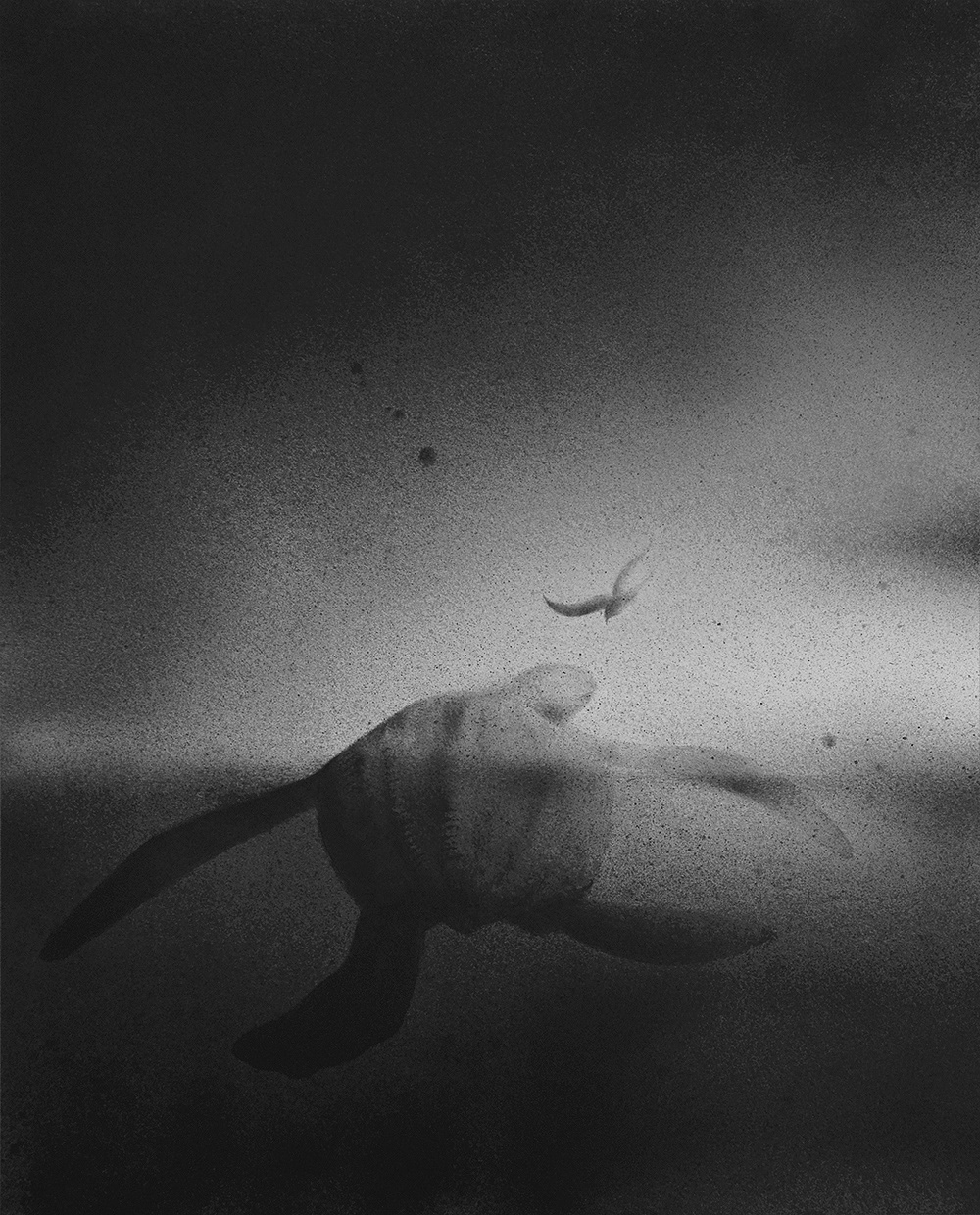 A-Love-Letter-to-Nature-des-aquarelles-monochromes-par-Elicia-Edijanto-1