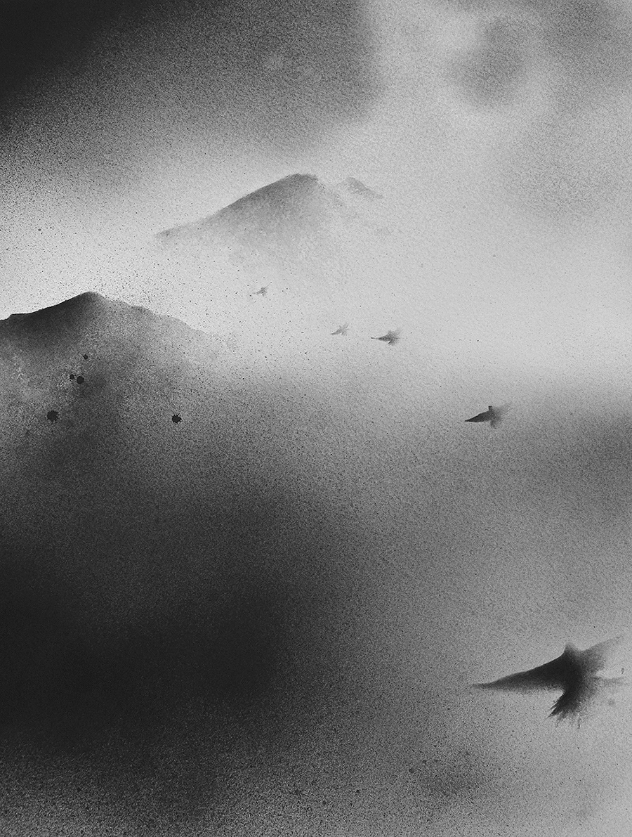 A-Love-Letter-to-Nature-des-aquarelles-monochromes-par-Elicia-Edijanto-6