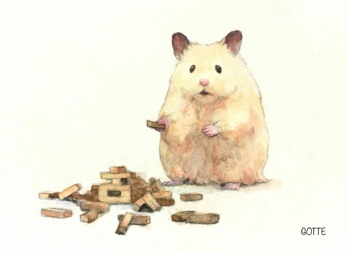La-vie-de-Sukeroku-le-hamster-par-Gotte-10