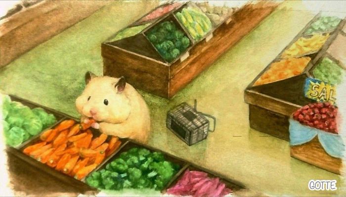 La-vie-de-Sukeroku-le-hamster-par-Gotte-2