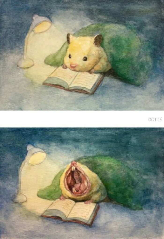 La-vie-de-Sukeroku-le-hamster-par-Gotte-3
