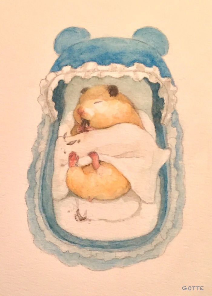 La-vie-de-Sukeroku-le-hamster-par-Gotte-6