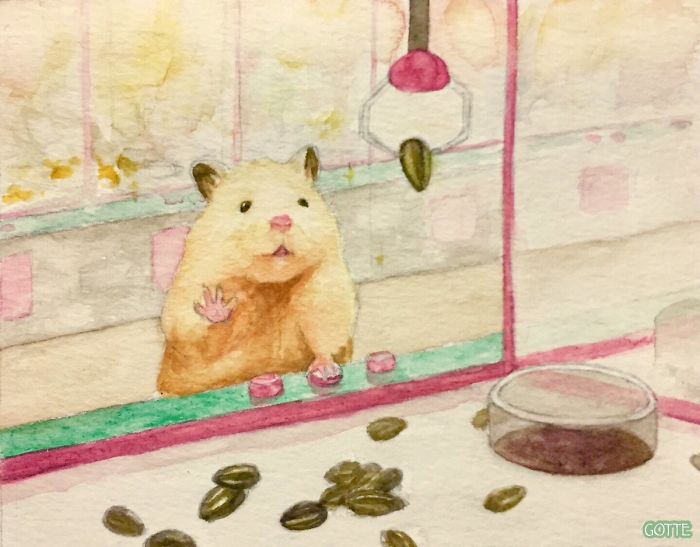 La-vie-de-Sukeroku-le-hamster-par-Gotte-7