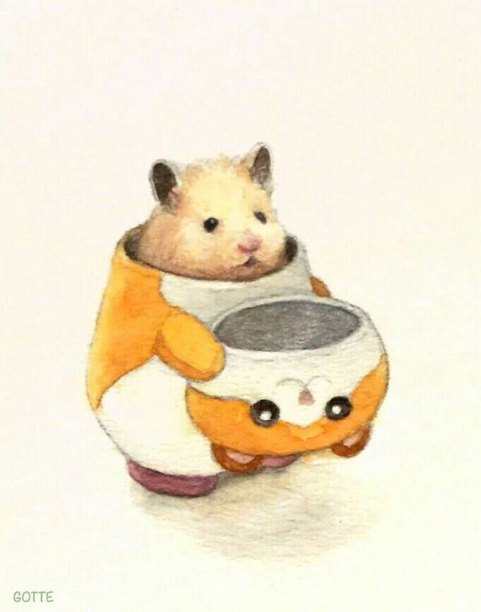 La-vie-de-Sukeroku-le-hamster-par-Gotte-9