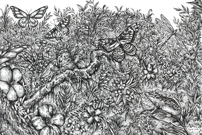 les-incroyables-dessins-de-Dusan-Krtolica-29