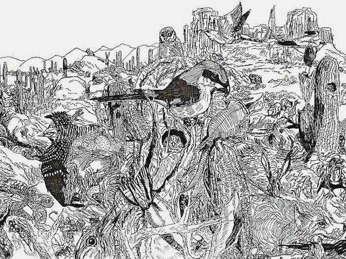 les-incroyables-dessins-de-Dusan-Krtolica-30