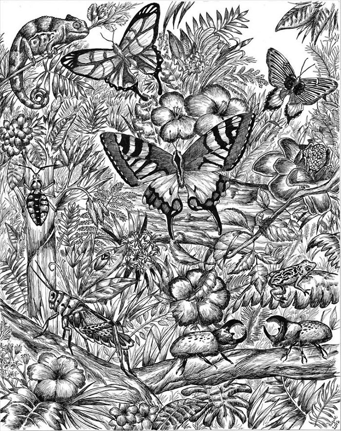 les-incroyables-dessins-de-Dusan-Krtolica-31