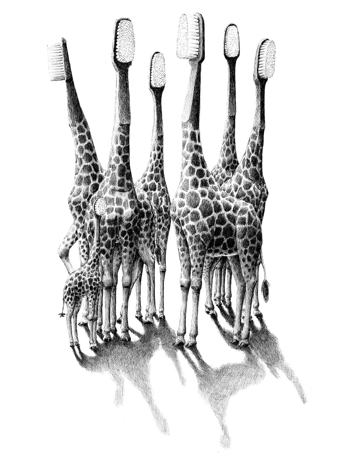 Des-melanges-d-animaux-et-d-objets-par-Redmer-Hoekstra-1