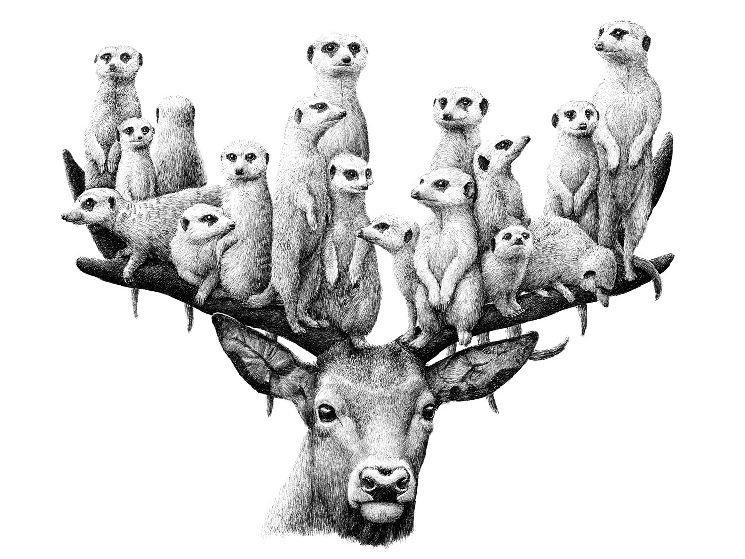 Des-melanges-d-animaux-et-d-objets-par-Redmer-Hoekstra-4
